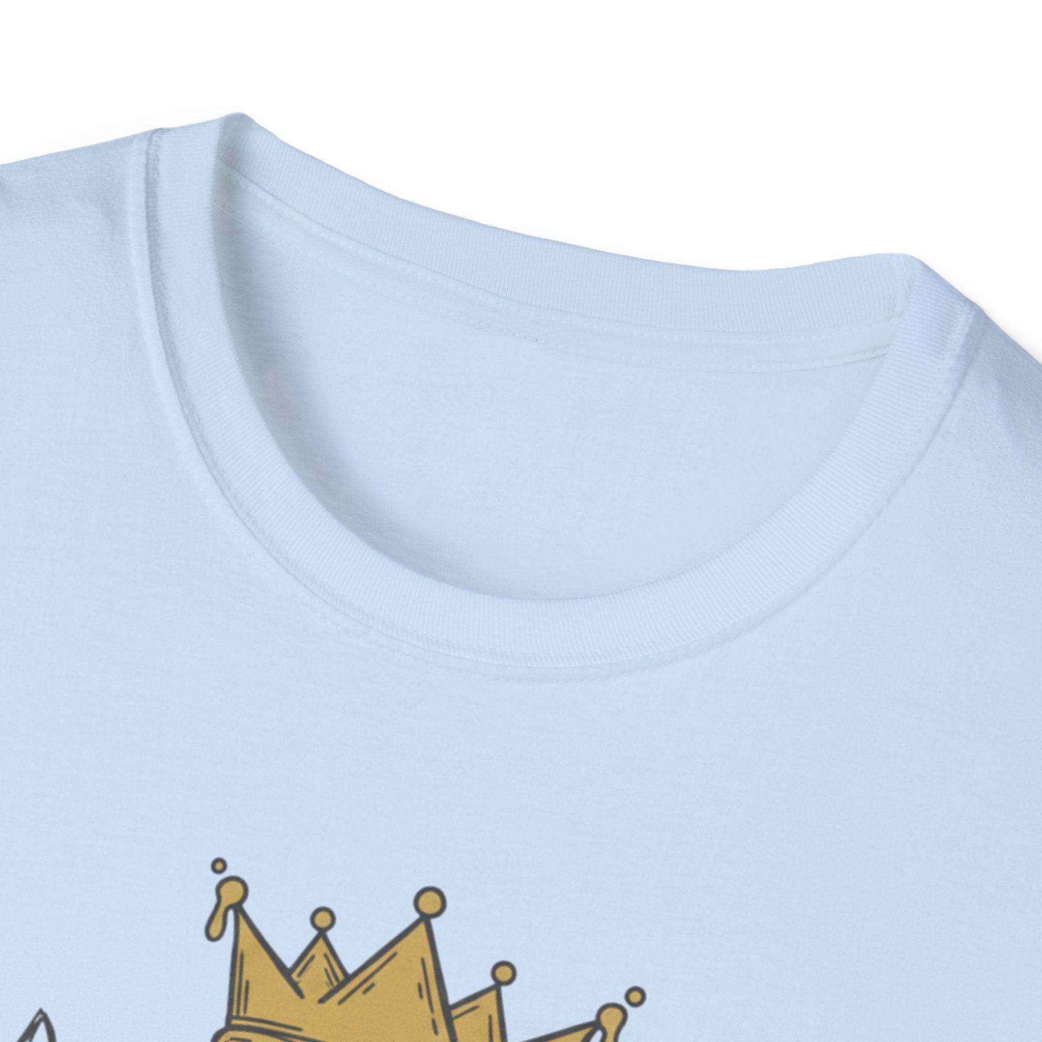 Cats Exploring Not Failing T-Shirt